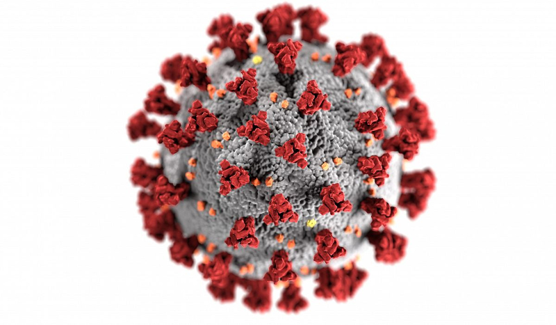 Coronavirus testi için cep telefonun uygulaması