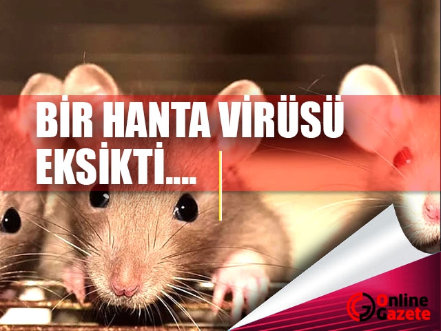 Çin'de Yeni Bir Virüs Paniğe Neden Oldu : HantaVirüs