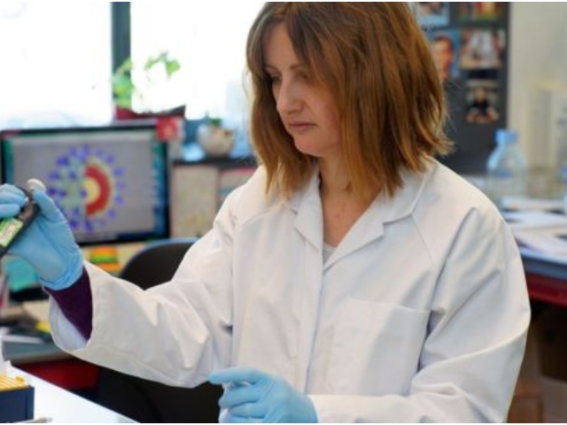 Koronavirüs aşısı: Dünya aşı bulmaya ne kadar yakın?