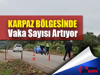 SON DAKİKA: Bakan Pilli Karpaz İçin Son Rakamları Açıkladı