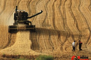 Çiftçiler uyardı: Batıyoruz