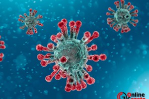 DSÖ: Bu salgın gittikçe kötüleşecek, kötünün kötüsü olacak